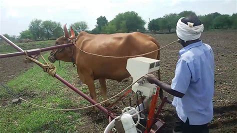 Seed Drill Ox Driven Mausam Agro Pvt Ltd Youtube