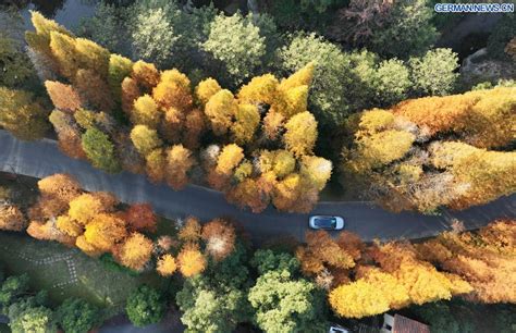 Landschaft Des Nationalen Meiling Waldparks In Nanchang Xinhua