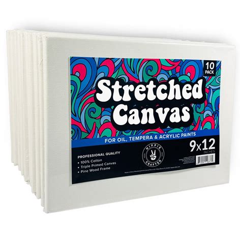 10 Pack Stretched Canvases For Painting Blank Paint Canvases For