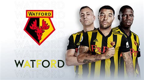 Watford fixtures: Premier League 2019/20 | Football News | Sky Sports