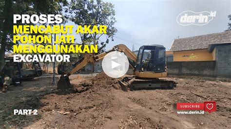 Proses Mencabut Akar Pohon Menggunakan Beko Excavator Part2 YouTube