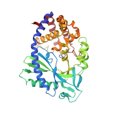 Rcsb Pdb Fu Crystal Structure Of Human Cyclic Gmp Synthase In