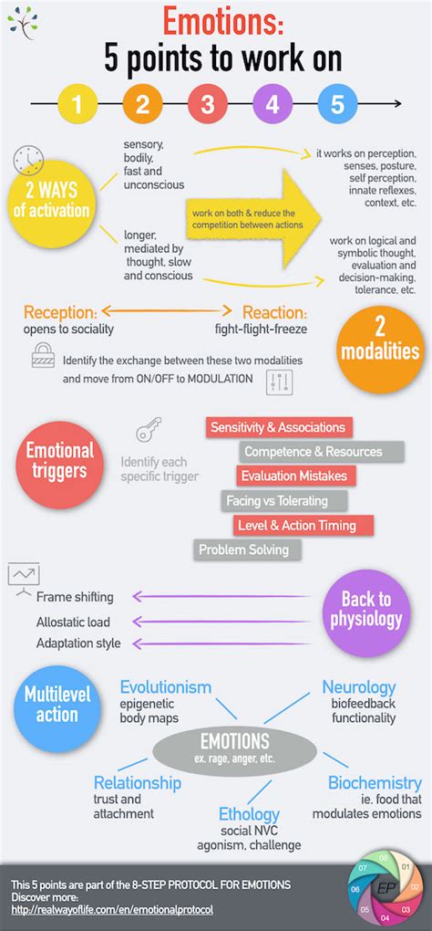 [infographic] Emotions 5 Points To Work On Real Way Of Life