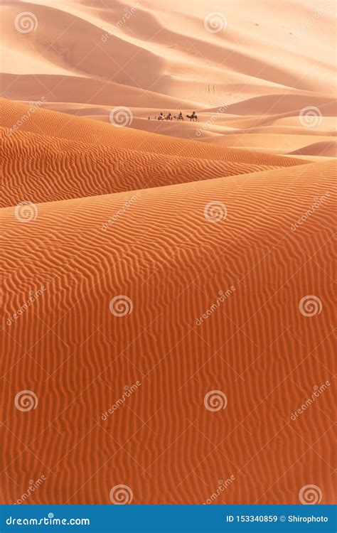 Dunas De Areia Bonitas Em Sahara Desert Imagem De Stock Imagem De