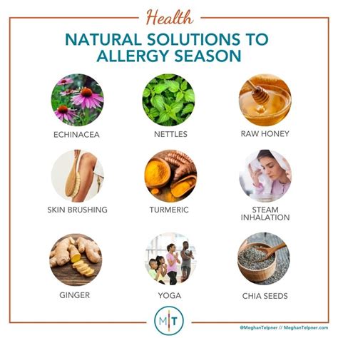 Delicious And Natural Allergy Season Solutions Meghan Telpner