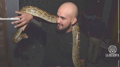 La nueva atracción de los bares leoneses es una serpiente