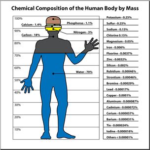 Chemical Makeup Of A Human Saubhaya Makeup