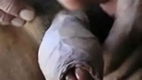 Me Cuming Free Solo Man Porn Video Xhamster Xhamster