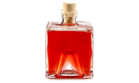 Rhabarber Sirup Rezept