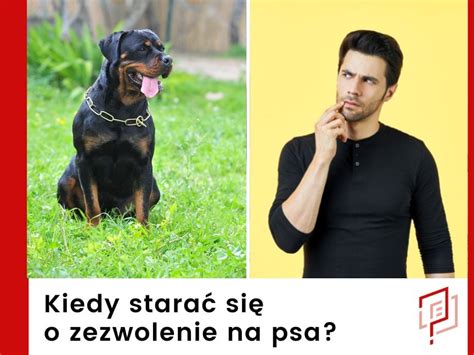 Pozwolenie Na Psa Zezwolenie Na Ras Niebezpieczn Jakiwniosek