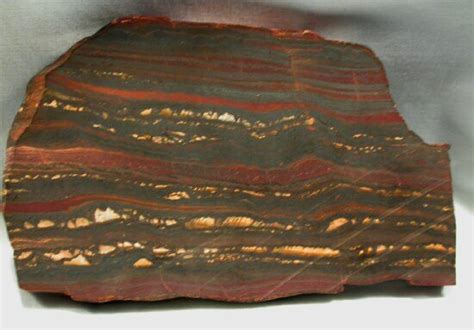 Stromatolites from Australia