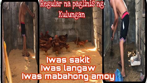 REGULAR NA PAG LINIS NG KULUNGAN NG MANOK PARA IWAS SA MASAMANG AMOY