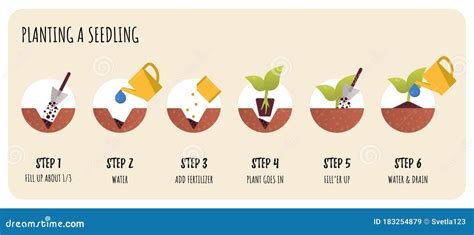 Steps Of Transplanting Potted Flower Vector Instruction How To Repot