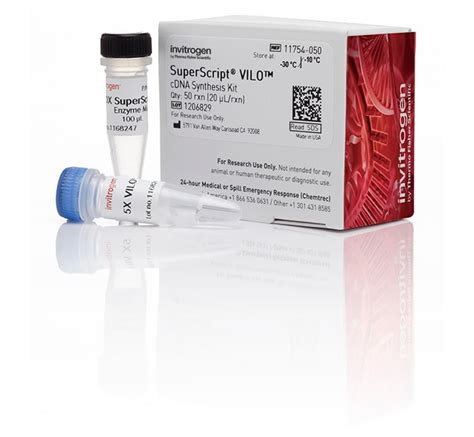 Invitrogen Superscript Vilo Cdna Synthesis Kit 50 Reactionspcr