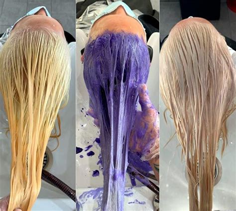 Purple Shampoo On Dry Hair Or Wet Topnotch Newsletter Gallery Of Images