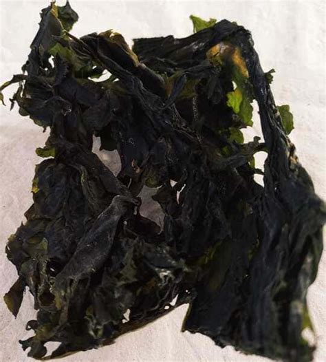 Alga Wakame Deshidratada Bio Abarrotes Granel