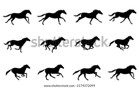 Galloping Horse Silhouette Stock Photos and Pictures - 20,556 Images ...