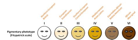 ELECTROLYSIS VS LASER/IPL-WHAT'S THE DIFFERENCE? - Time For You ...