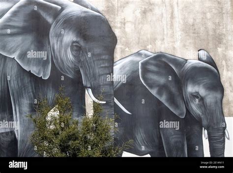 Elephants By Kiwi Artist Owen Dippie Detail From A Street Art Mural Of