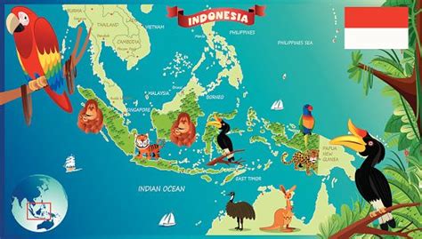 Cartoon map of Indonesia | Cartoon map, Illustrated map, Pictorial maps