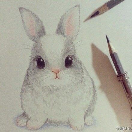 Cute Rabbit Drawing Realistic - Bunny Drawing