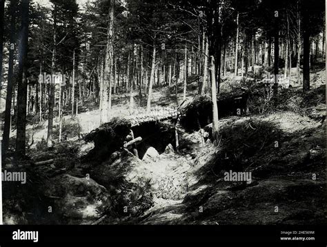 Russischer Sch Tzengraben Im Wald Stock Photo Alamy