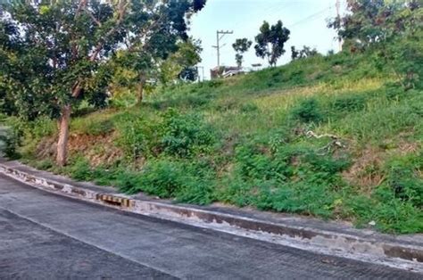 157 Sqm Lot For Sale In Vista Grande Talisay Cebu City Near The