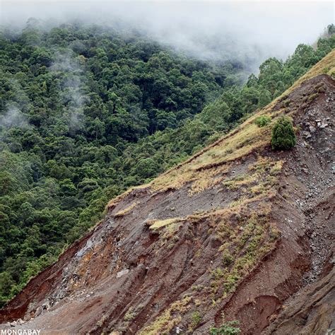 Tropical Rainforest Characteristics Soil