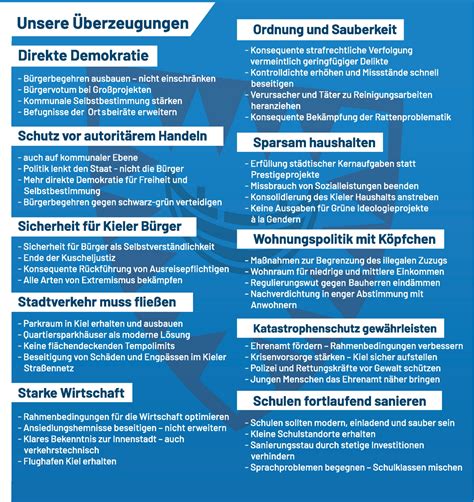 Flyer Der Afd Kiel Zur Kommunalwahl Afd Schleswig Holstein Kiel