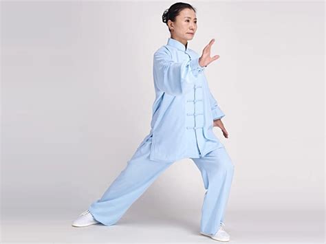 Tai Chi Clothing, Half-sleeve Tai Chi Clothing, Tai Chi Clothing for Woman, Tai Chi Uniform ...