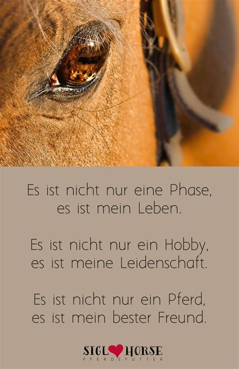 Es Ist Nicht Nur Eine Phase Es Ist Mein Leben Es Ist Nicht Nur Ein