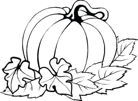 Pumpkin Patch Drawing | Free download on ClipArtMag