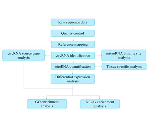 Nucleome Informatics Whole Genome Sequencing For Rare Diseases Human Whole Genome