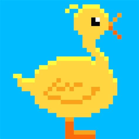 Duck Quacker by James Knudsen