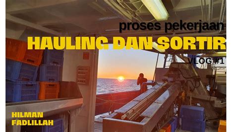 Proses Hauling Winch Up Jaring Dan Sortir Udang Di Kapal Trawl Udang