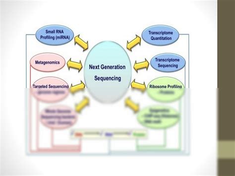 SOLUTION: Applications of dna sequencing - Studypool