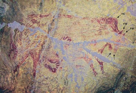 45,500-Year-Old Sulawesi Warty Pig Painting Found in Indonesian Cave ...