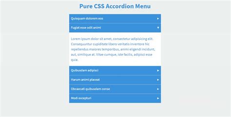 How To Create An FAQ Accordion Menu Using Only HTML CSS