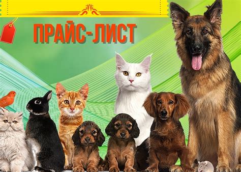 Ветеринарная клиника АЙБОЛИТ Нижний Тагил | ВКонтакте