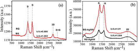 Raman Spectra Excitation Wavelength λ 532 Nm Of A Rg And Bg B