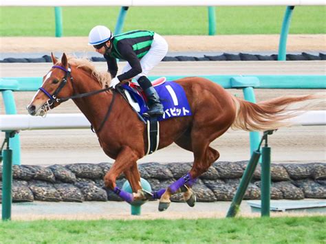 【中山記念予想】評価を下げた方がいい人気馬1頭 厩舎データから弾き出した今週の注目馬はjraレース展望 競馬ニュース Netkeiba