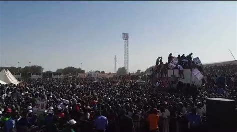 Videos Pictures From PDP Presidential Rally In Yobe Politics Nigeria