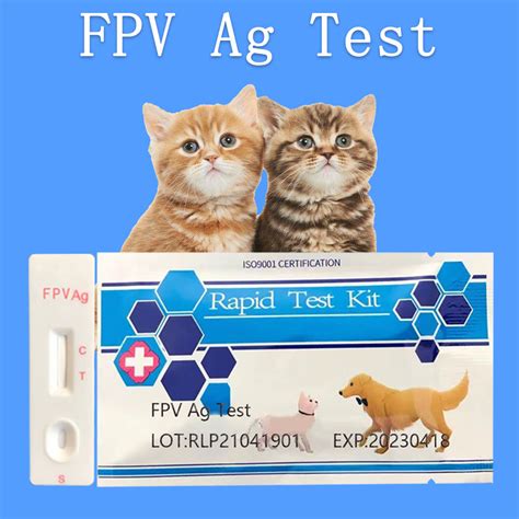 Huichao Vet Diagnostic Feline Panleukopenia Fpv Test Antigen Test Buy