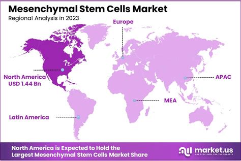 Mesenchymal Stem Cells Market Size Share Cagr Of 126