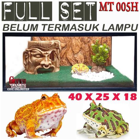 Promo Mt005h Full Set Kandang Aquarium Terrarium Pacman Katak Kodok