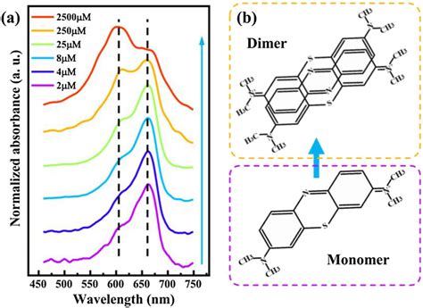 Absorption Of MB Monomer And Dimer Molecules A UVVis Absorption