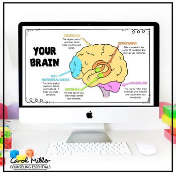 Flipping Your Lid Lesson Brain Emotions Hand Model Stress Response