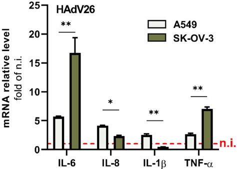 Viruses Free Full Text Human Adenovirus Type 26 Induced Il 6 Gene