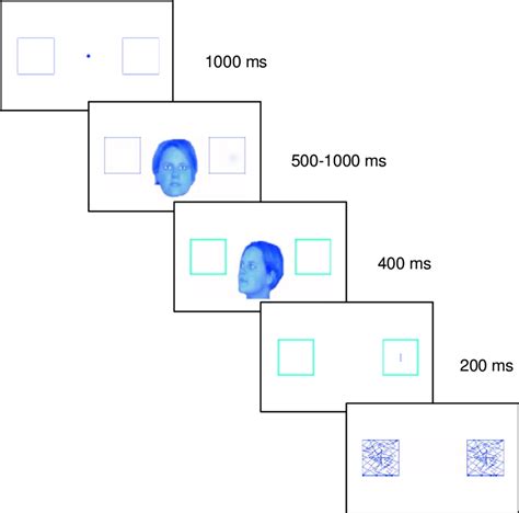 The Sequence Of Events In Experiments 1 And 2 An Invalid Trial Is