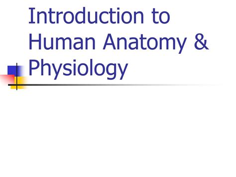 Ppt Introduction To Human Anatomy And Physiology Powerpoint